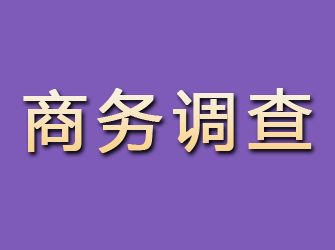 西峡商务调查